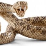 Почему змея называется гремучей