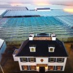Нидерландские инновационные технологии в сельском хозяйстве и животноводстве