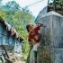 10 необычных запретов, которые есть только в Непале