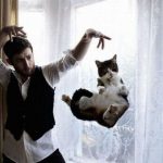 100 лучших фотографий кошек всех времен и народов