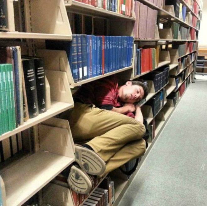 Спать в библиотеке