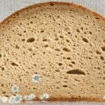 Хлеб с плесенью: выбросить или обрезать и съесть?