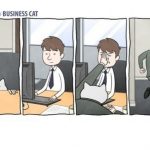 Если бы ваш босс был бы котом