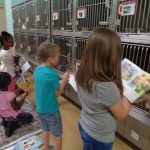 Американские школьники почитали книги животными из приюта