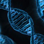 Ученые удалили из ДНК человека ген, отвечающий за заболевание