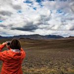 Сможет ли Исландия восстановить леса, разрушенные викингами?