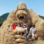 Удивительные соломенные скульптуры на фестивале в Японии